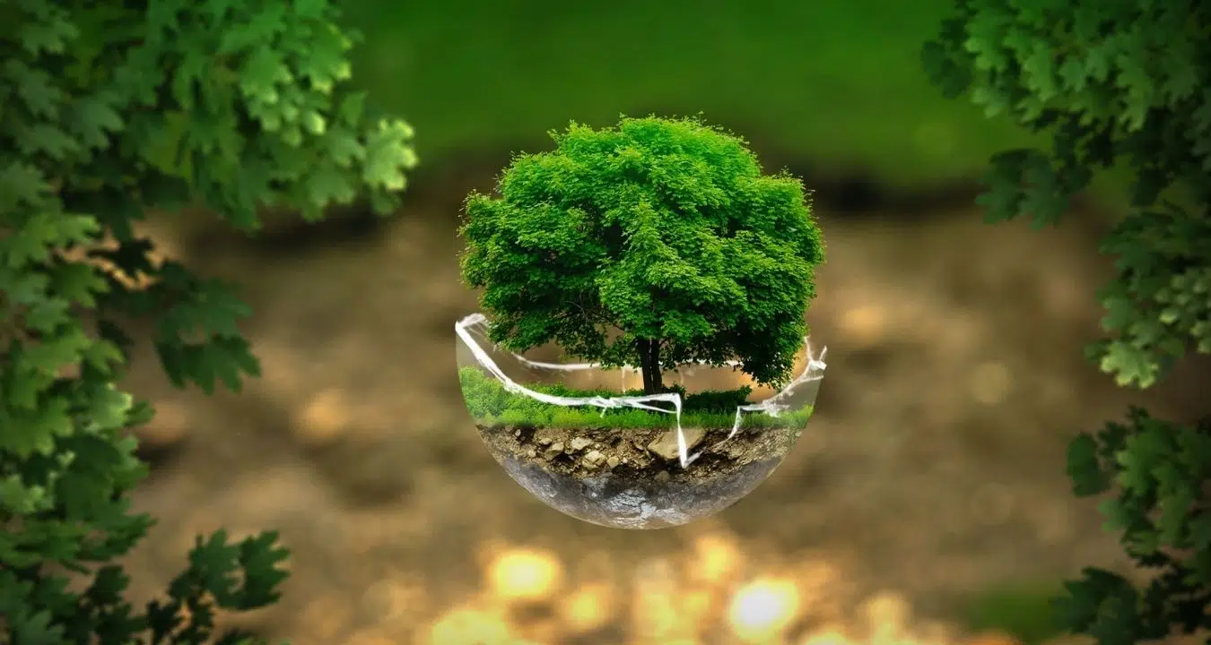 Article : Comment choisir son label RSE ?