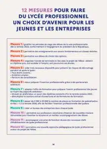 mesures réforme lycée professionnel