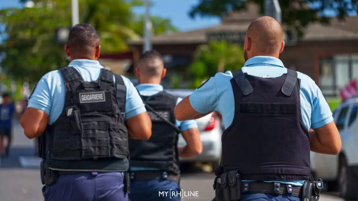 Témoignage d'Hervé Pallotta sur la stratégie et les enjeux de la digitalisation RH de la Gendarmerie nationale
