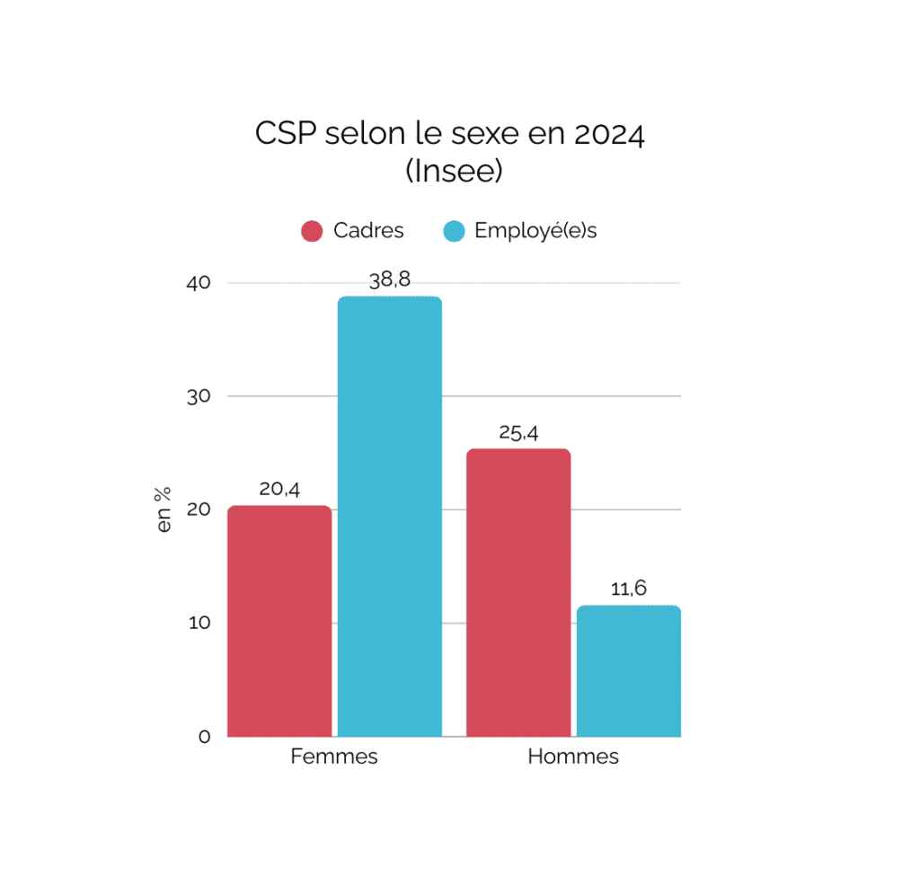 Graphique CSP selon le sexe en 2024 (Insee)